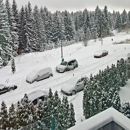 Silver Mountain A21 Friendly Apartment Poiana Brasov Esterno foto