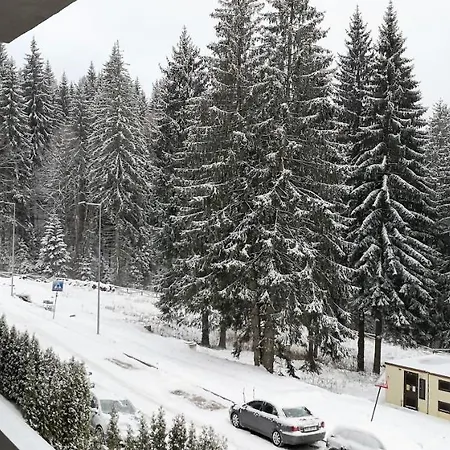 Silver Mountain A21 Friendly Apartment Poiana Brasov Esterno foto