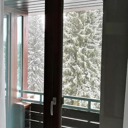 Silver Mountain A21 Friendly Apartment Poiana Brasov Esterno foto