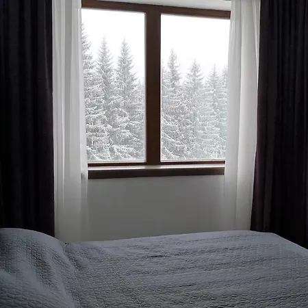 Silver Mountain A21 Friendly Apartment Poiana Brasov Esterno foto