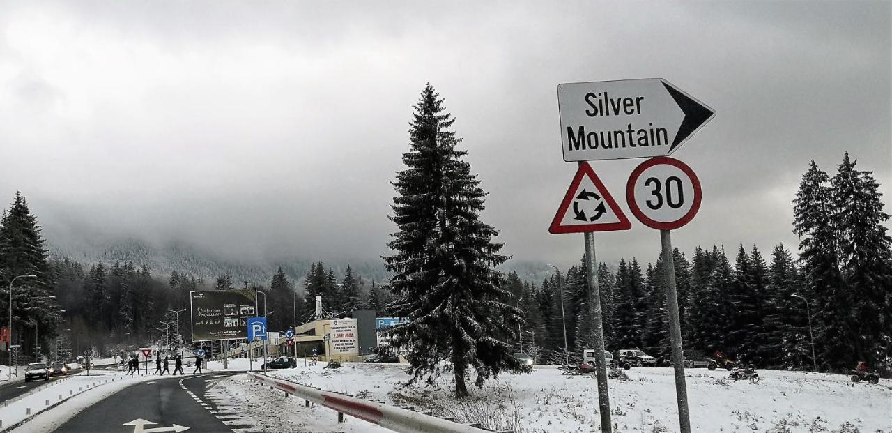 Silver Mountain A21 Friendly * Poiana Brasov