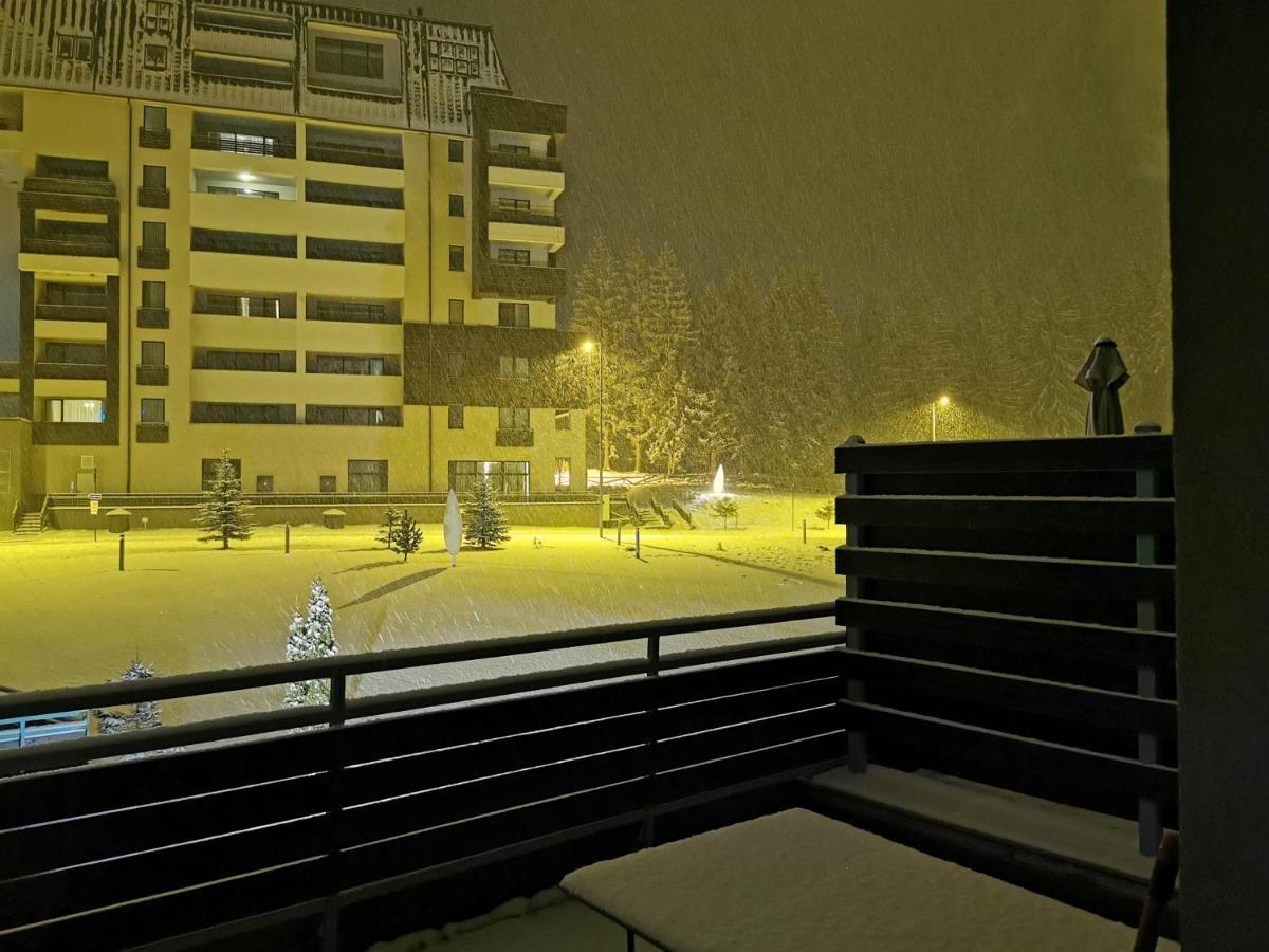 Apartment Silver Mountain A21 Friendly Poiana Brasov