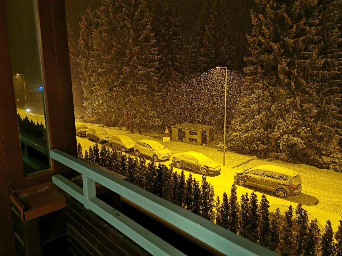 Silver Mountain A21 Friendly * Poiana Brasov