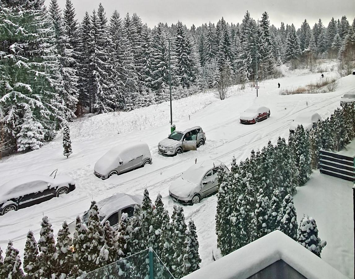 Silver Mountain A21 Friendly Apartment Poiana Brasov