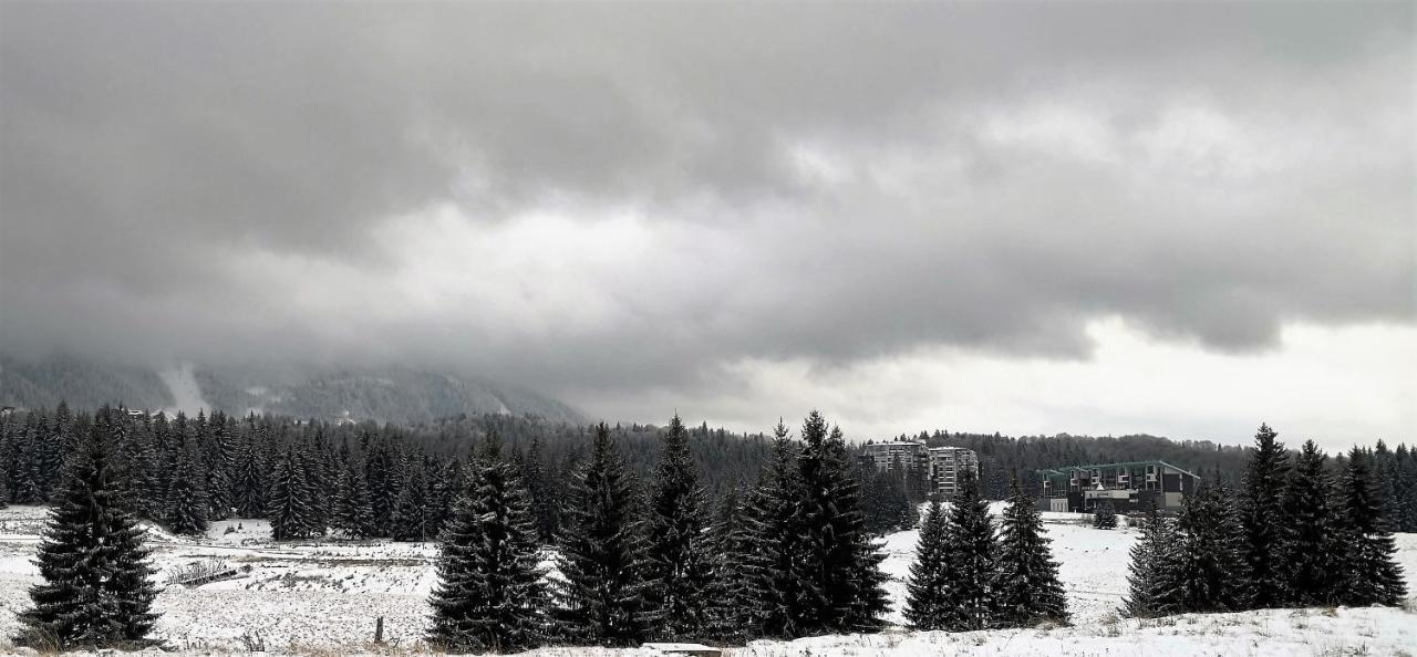 Apartment Silver Mountain A21 Friendly