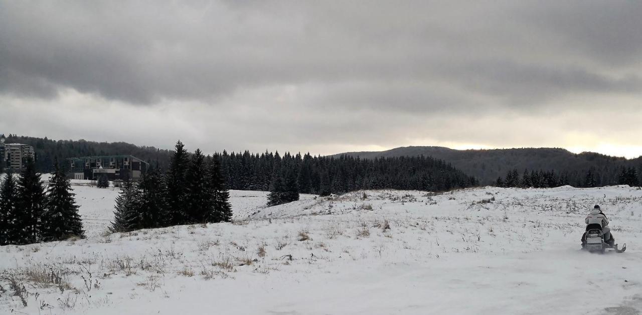 Silver Mountain A21 Friendly Apartment Poiana Brasov