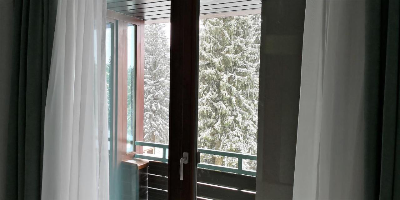 Silver Mountain A21 Friendly Poiana Brasov